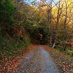 팜스테이 Borgo Del Canto - Traditional Country Retreat - 30 Min From The Sea! *