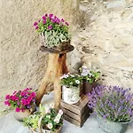 Borgo Del Canto - Traditional Country Retreat - 30 Min From The Sea! Borghetto d'Arroscia