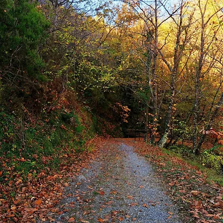 ファームステイ Borgo Del Canto - Traditional Country Retreat - 30 Min From The Sea! *