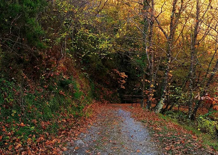 Gospodarstwo agroturystyczne Borgo Del Canto - Traditional Country Retreat - 30 Min From The Sea! *